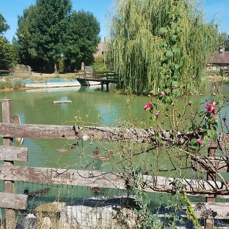 Ferme Bressane Les Arums Mervans Dış mekan fotoğraf